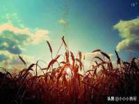 上海世如虹贸易有限公司
