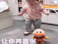 上海世如虹贸易有限公司
