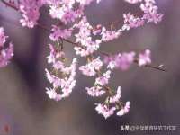 上海世如虹贸易有限公司