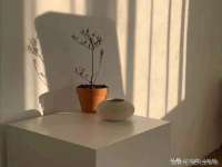 上海世如虹贸易有限公司
