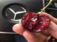 上海世如虹贸易有限公司