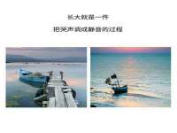 上海世如虹贸易有限公司