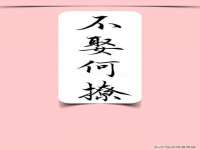 上海世如虹贸易有限公司