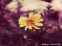 上海世如虹贸易有限公司