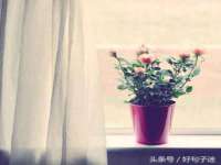 上海世如虹贸易有限公司