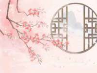 上海世如虹贸易有限公司