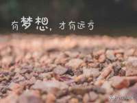 上海世如虹贸易有限公司
