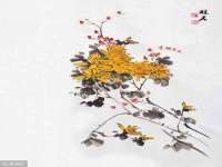 上海世如虹贸易有限公司