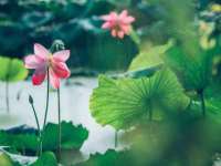 上海世如虹贸易有限公司
