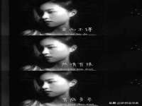 上海世如虹贸易有限公司