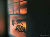 上海世如虹贸易有限公司