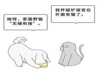 上海世如虹贸易有限公司