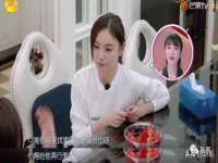 上海世如虹贸易有限公司