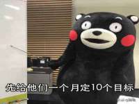 上海世如虹贸易有限公司