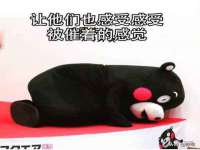 上海世如虹贸易有限公司
