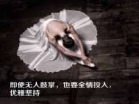 上海世如虹贸易有限公司