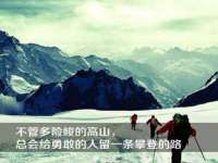 上海世如虹贸易有限公司