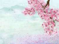 上海世如虹贸易有限公司