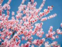 上海世如虹贸易有限公司