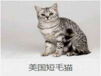 上海世如虹贸易有限公司
