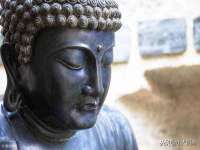 上海世如虹贸易有限公司