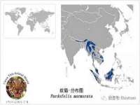 上海世如虹贸易有限公司