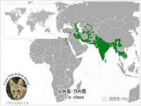上海世如虹贸易有限公司