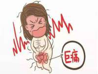 上海世如虹贸易有限公司