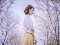 上海世如虹贸易有限公司