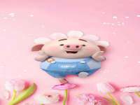 上海世如虹贸易有限公司