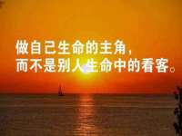 上海世如虹贸易有限公司