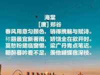上海世如虹贸易有限公司