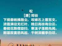 上海世如虹贸易有限公司
