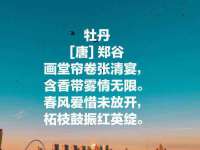上海世如虹贸易有限公司