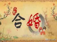 上海世如虹贸易有限公司