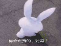 上海世如虹贸易有限公司