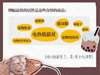上海世如虹贸易有限公司