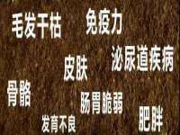上海世如虹贸易有限公司
