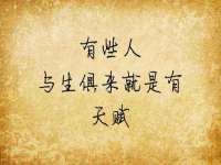 上海世如虹贸易有限公司