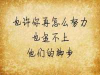 上海世如虹贸易有限公司