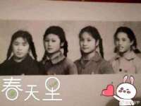 上海世如虹贸易有限公司