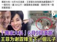 上海世如虹贸易有限公司