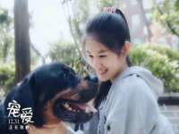 上海世如虹贸易有限公司