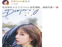 上海世如虹贸易有限公司