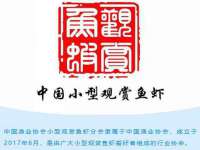 上海世如虹贸易有限公司