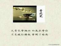 上海世如虹贸易有限公司