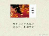 上海世如虹贸易有限公司