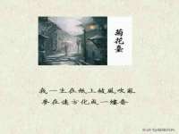 上海世如虹贸易有限公司