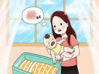 上海世如虹贸易有限公司