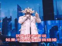 上海世如虹贸易有限公司
